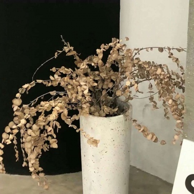 登封FurryQQ群介绍